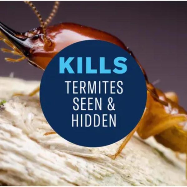 BioAdvanced Termite Killer Foam 18 oz Online Sale