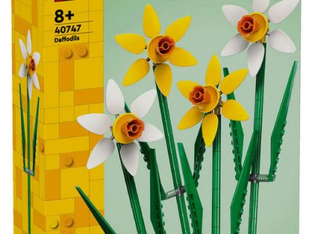 40747 Flowers Narcisi Sale