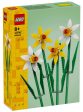 40747 Flowers Narcisi Sale